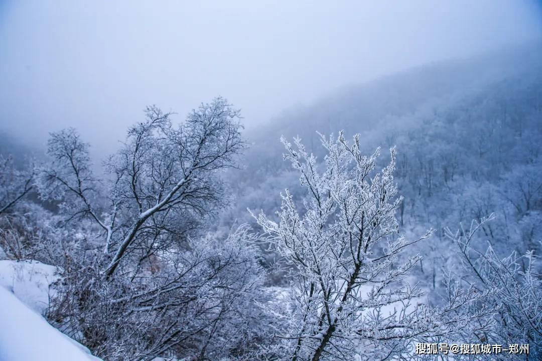 小球进黑洞