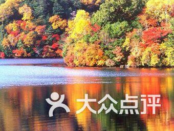 次元喵