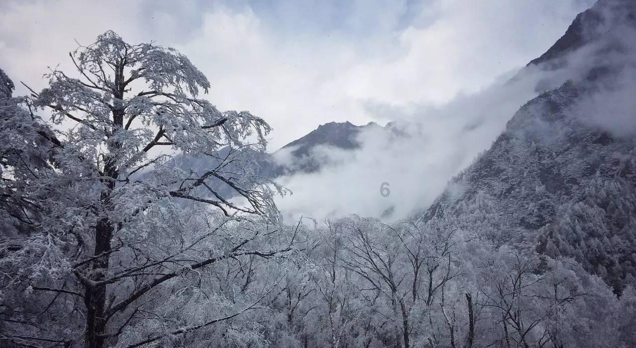 救援金刚狼