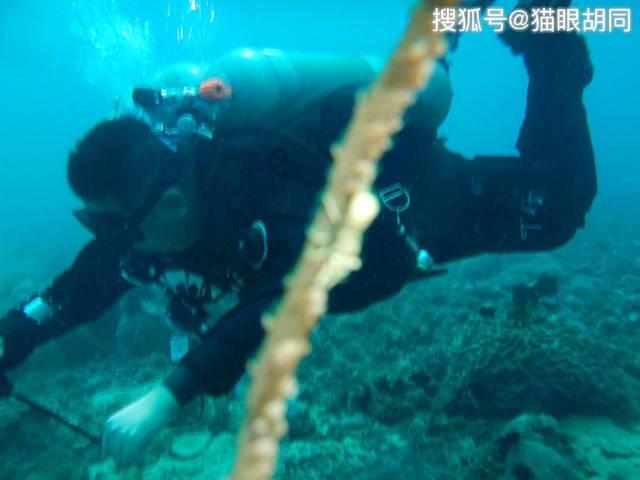 神秘图腾