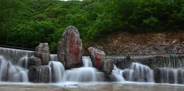 如何彻底清除家中致敏的宠物毛发？游戏画面