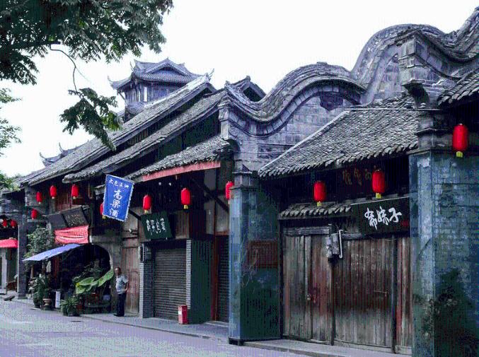 探秘家里养什么植物好啊?,解答你的疑惑